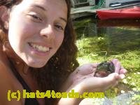/home//u458753944/public_html/sourcegallery/////////////////Frogs/Mixed frogs/P1070620.JPG